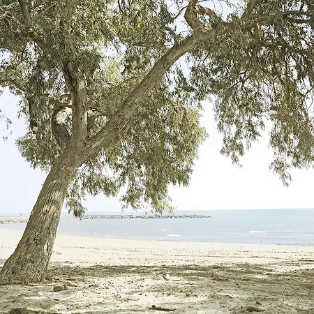 Azahar Kamp alanı Benicàssim